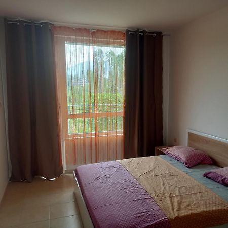 Green Dream 3 Rooms Apartment Butterfly 써니비치 외부 사진